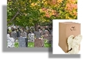 Cremation with a Memorial Graveside Service 